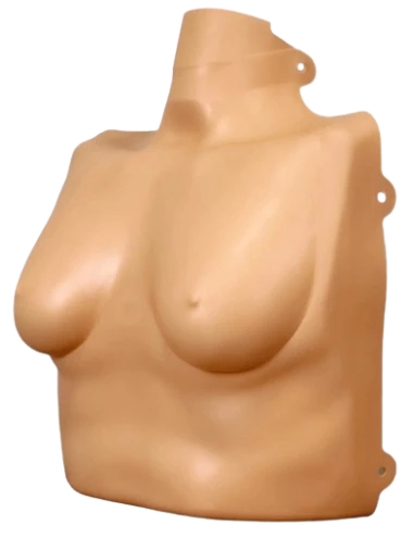 Piel femenina para torso...